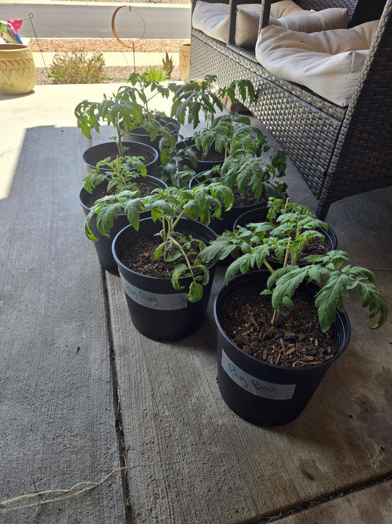 The Wrong Spot Wastes Water