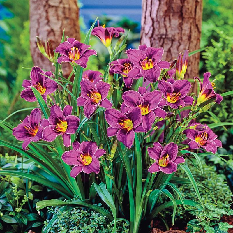 Rely On Plants That Keep Showing Up