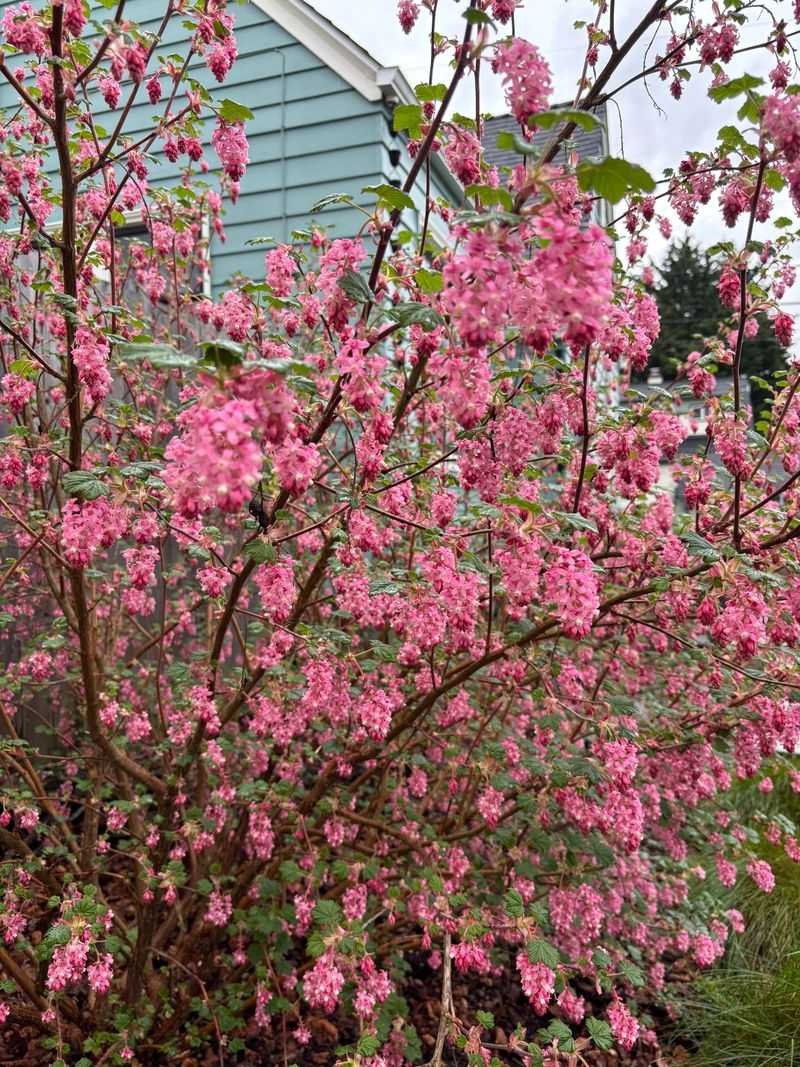 Year-Round Bloom Cycles Keep Wildlife Coming Back