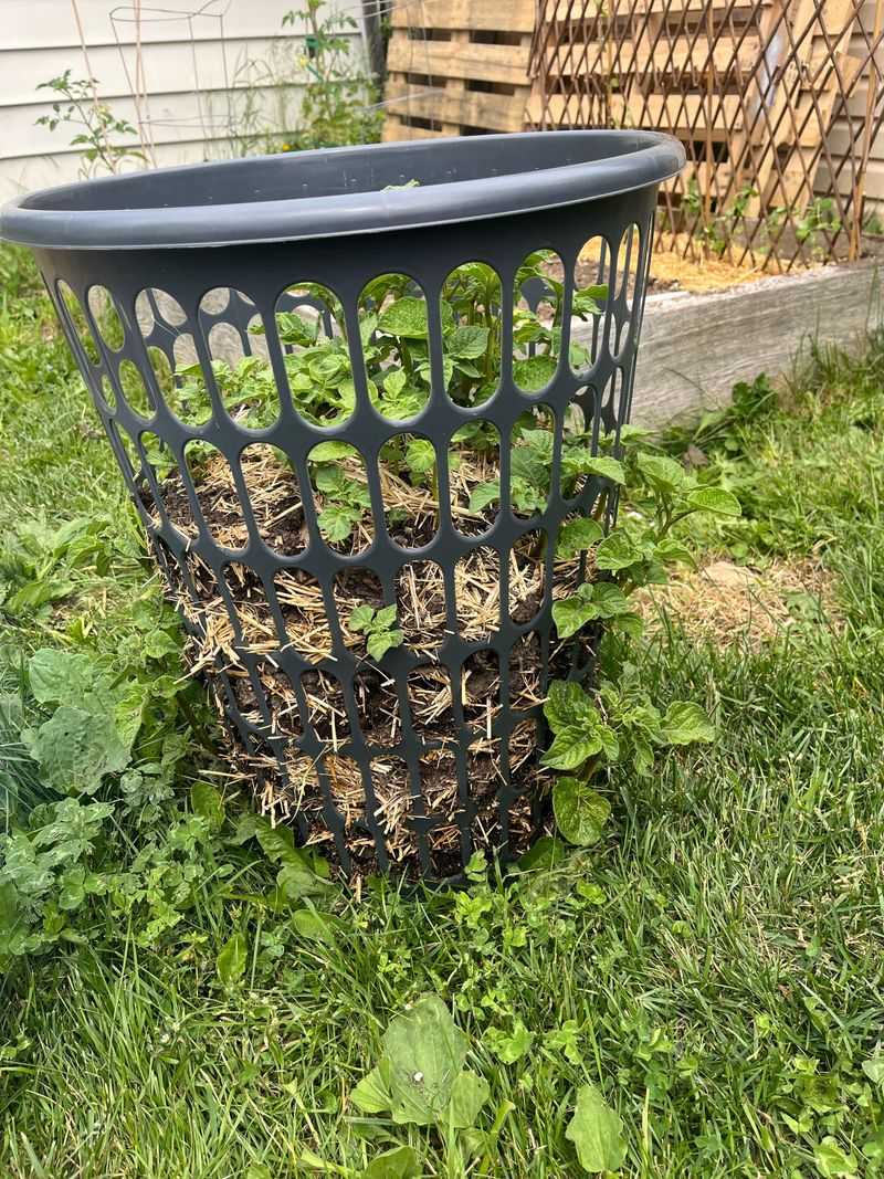 Moving Your Garden Wherever The Sun Goes