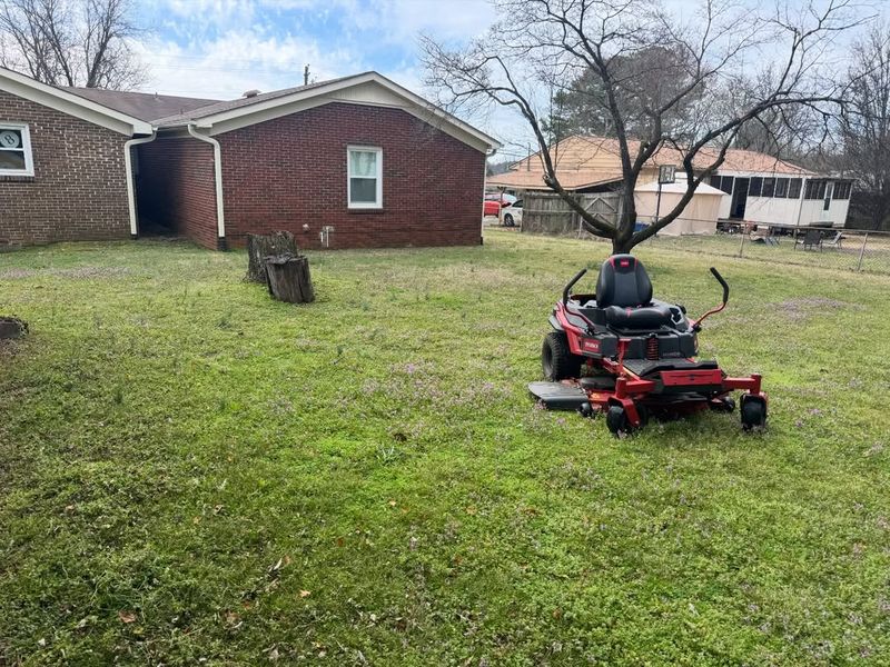 Proper Height Supports Stronger Lawn Growth