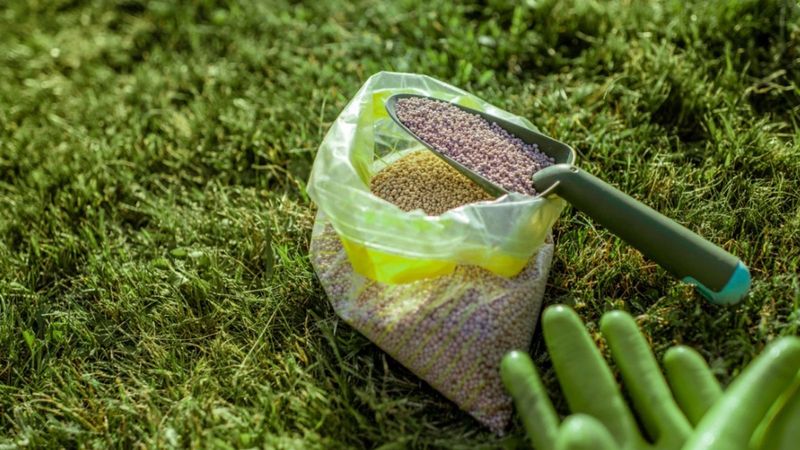 Use A Balanced Fertilizer Without Overfeeding