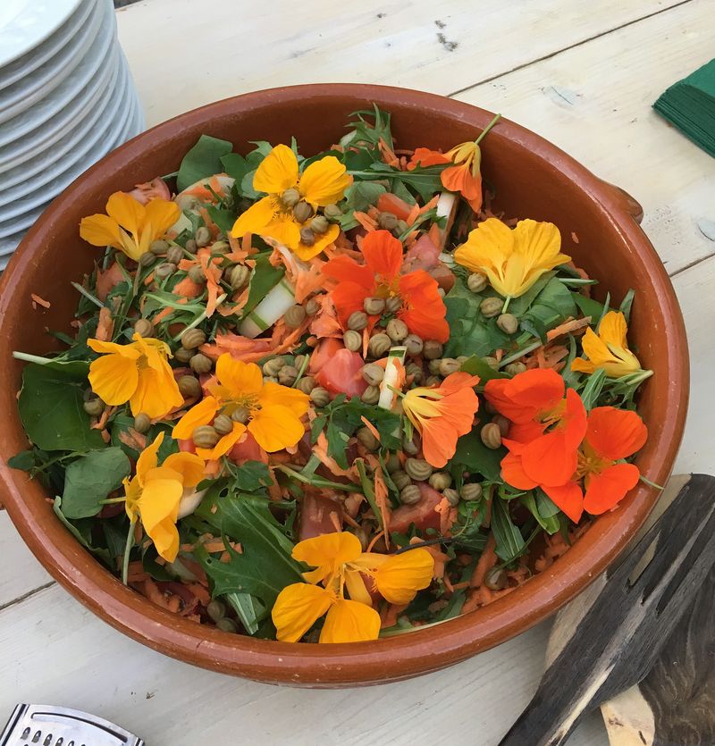 Add Peppery Flowers And Leaves To The Harvest
