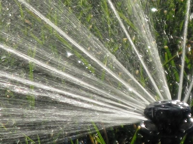 Overwatering Or Watering Poorly Drained Soil Too Often