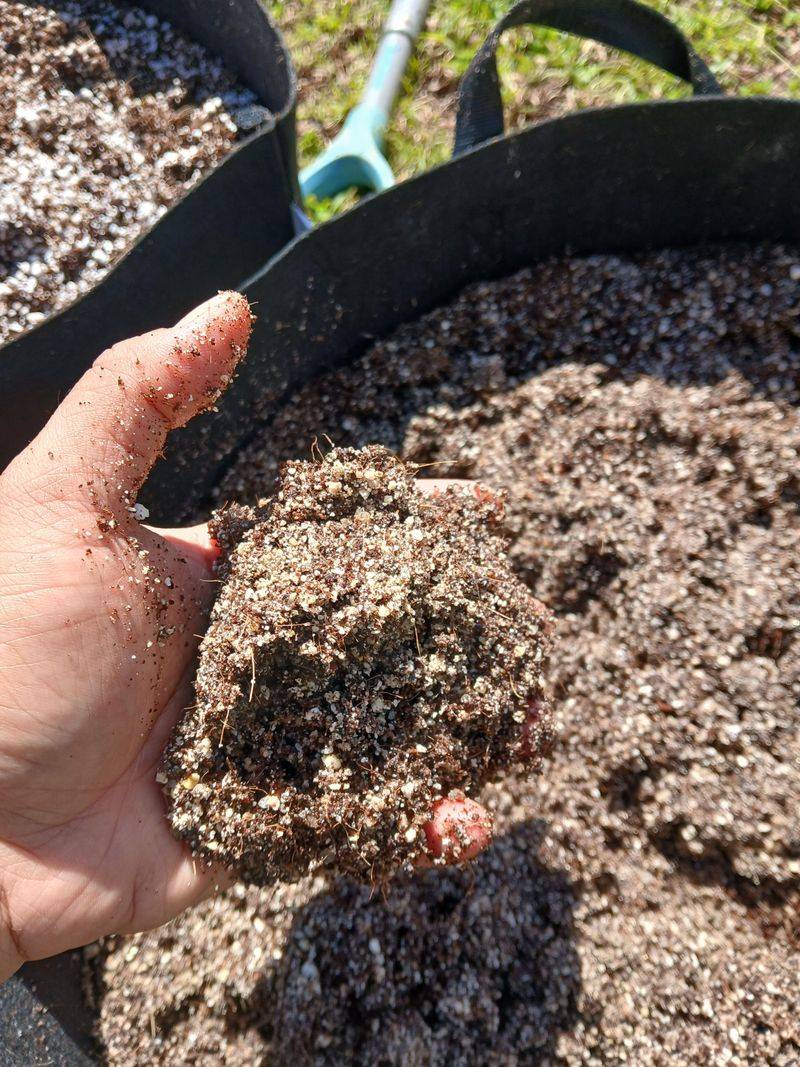 Better Drainage Helps Prevent Future Infestations