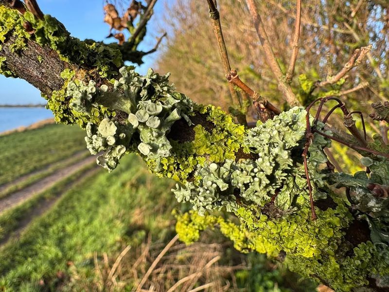 When It Is Worth A Closer Look