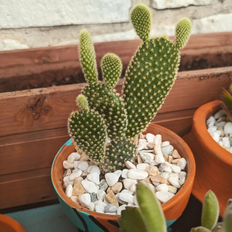 Outdoor Summer Light Can Make A Big Difference