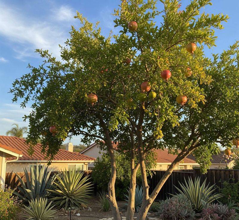 Mulch Helps Retain Moisture As Temperatures Rise