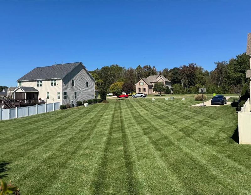 Correcting Soil Acidity Supports Stronger Grass Growth