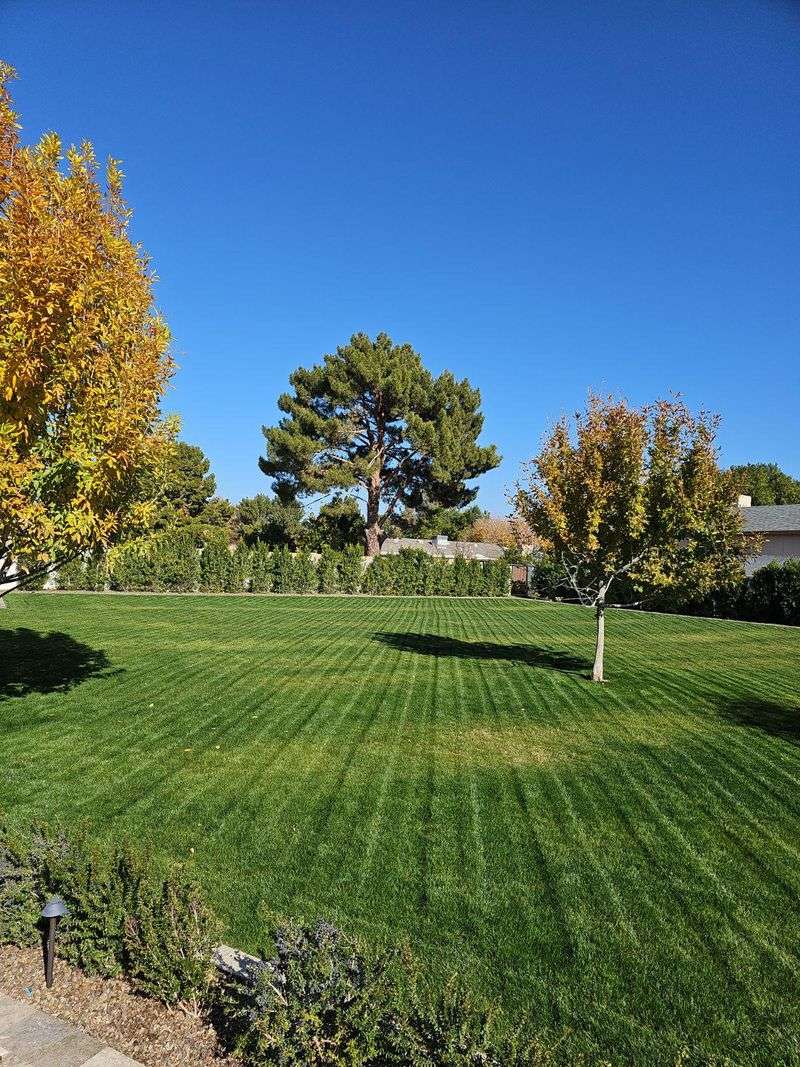 Applying Lime Can Improve How Fertilizer Performs