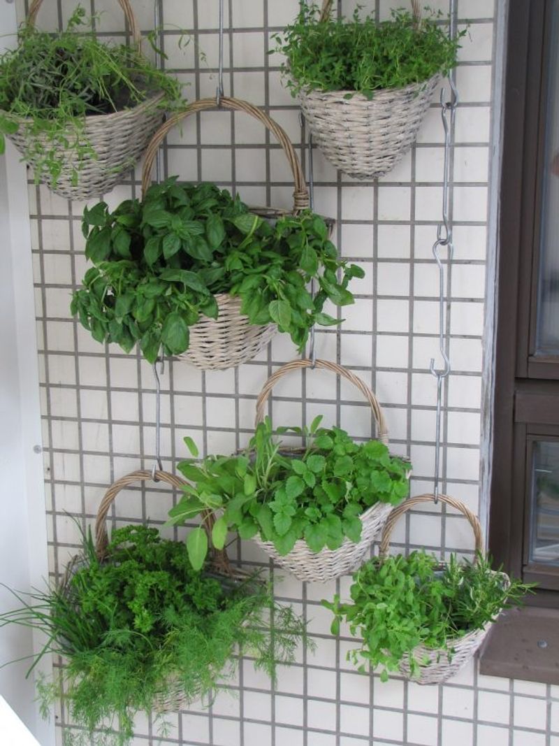 A Basket Wall Creates A Unique Garden Feature