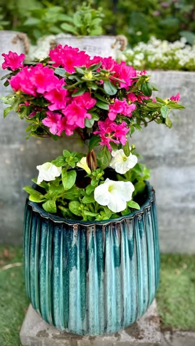 They Pair Well With Other Spring Plants