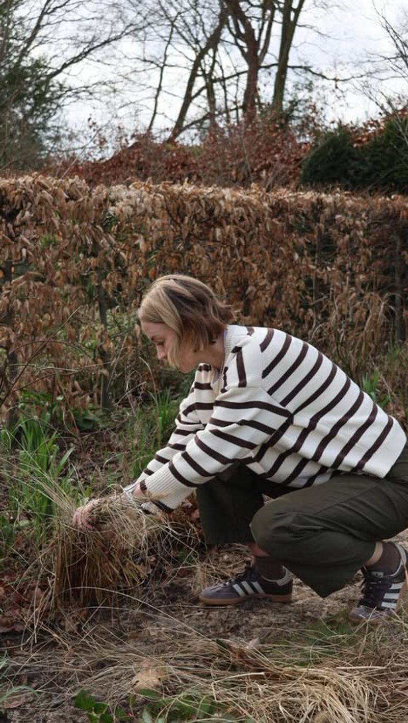 Check The Base Of The Plant For New Growth