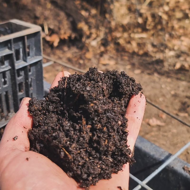 Add Compost Or Other Organic Matter