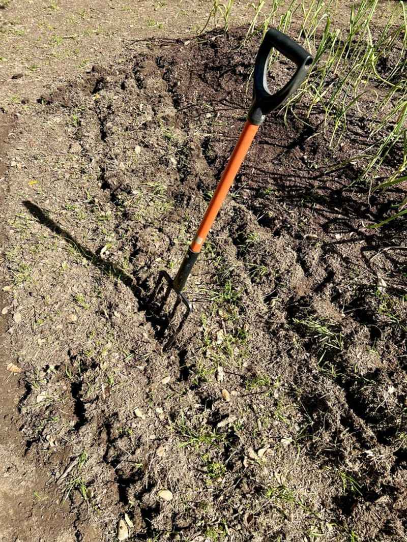 Loosening Soil Helps Water Drain More Easily