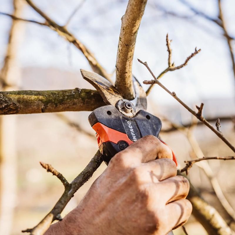 Never Remove More Than One Third At Once