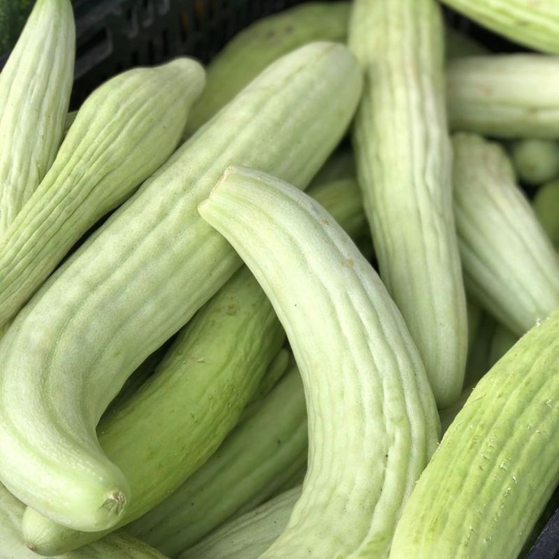Armenian Cucumbers