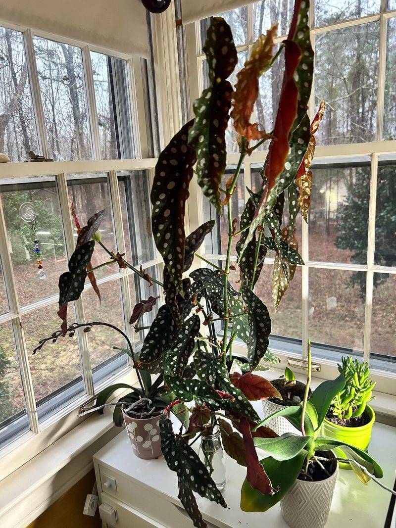 Keeping Temperatures Stable Year Round