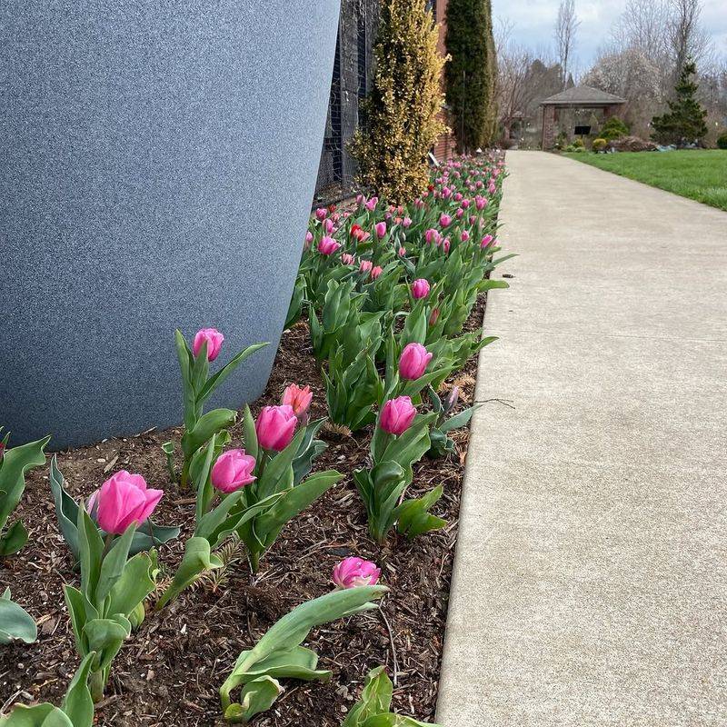 When Covering Is Not Necessary In Ohio Spring Weather