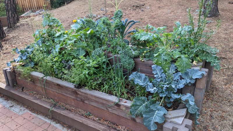 Regional Timing Matters