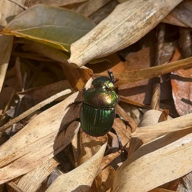 The Best Control Is Early And Targeted