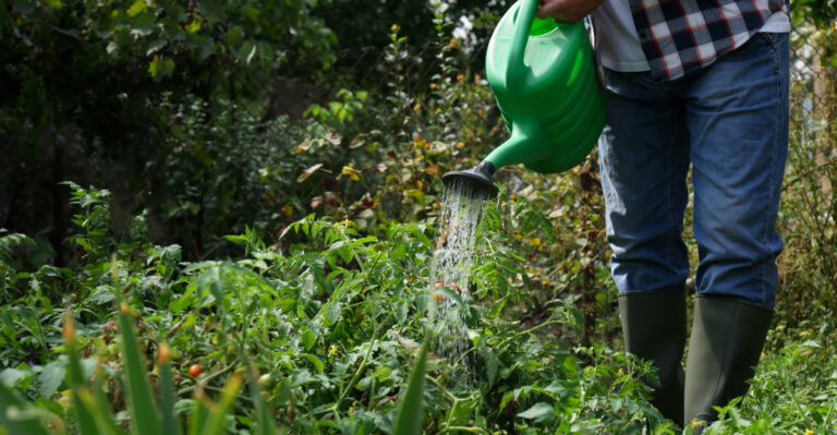 Mistakes Every New Pennsylvania Gardener Makes That Cause Big Problems