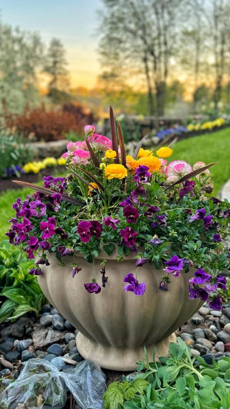 Use Well-Draining Soil In Every Pot