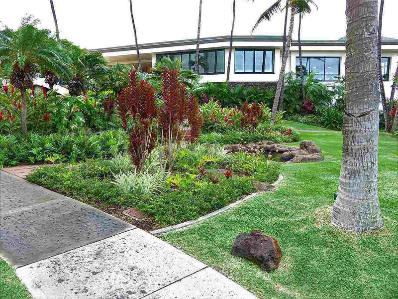 Choose Plants That Grow Under Similar Water Needs