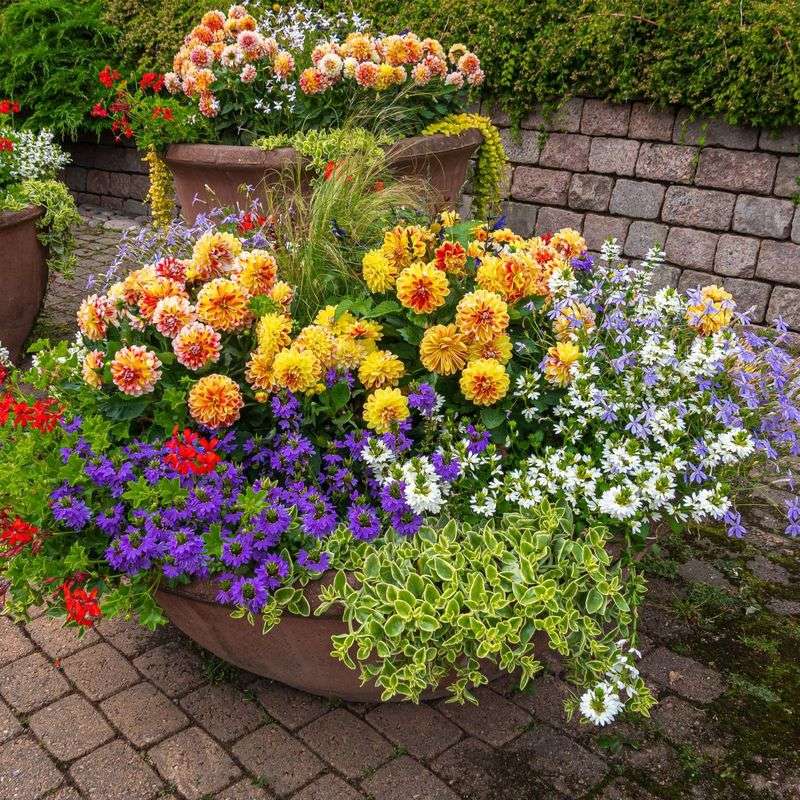 Place The Container Where Birds Feel Safe