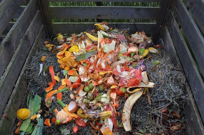 Bury Fresh Peels Deep To Keep Critters Away