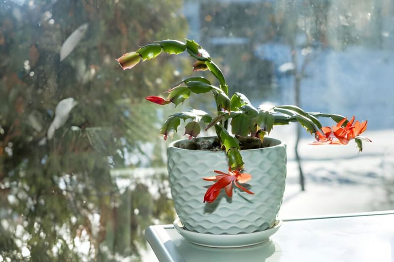 Stable, Moderate Temperatures