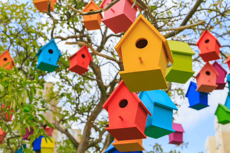 Painted Birdhouse Adds Color To Arizona Yards