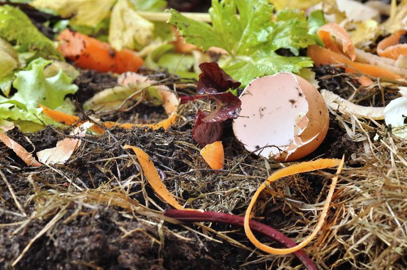 Uncomposted Scraps Create More Problems Than Progress