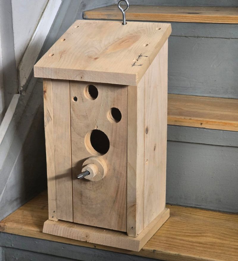 Build A Simple Wooden Box With One Opening