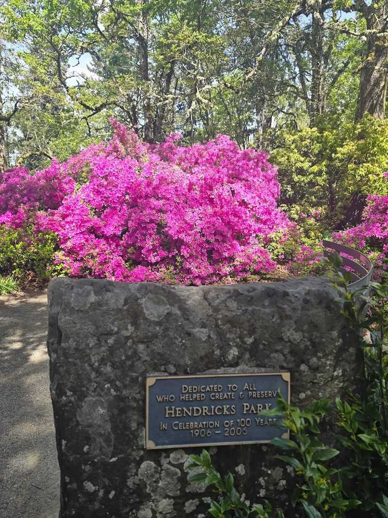 Hendricks Park