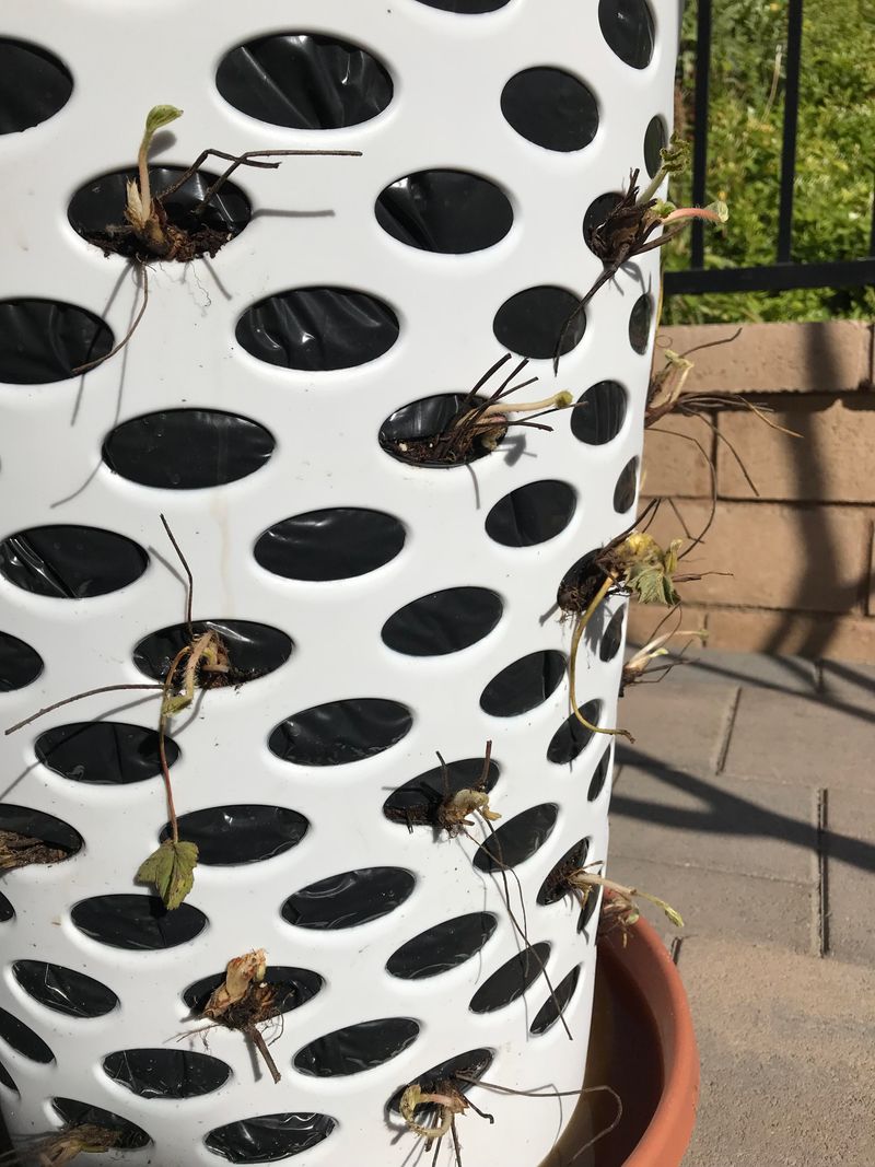 The Right Soil Mix Makes All The Difference