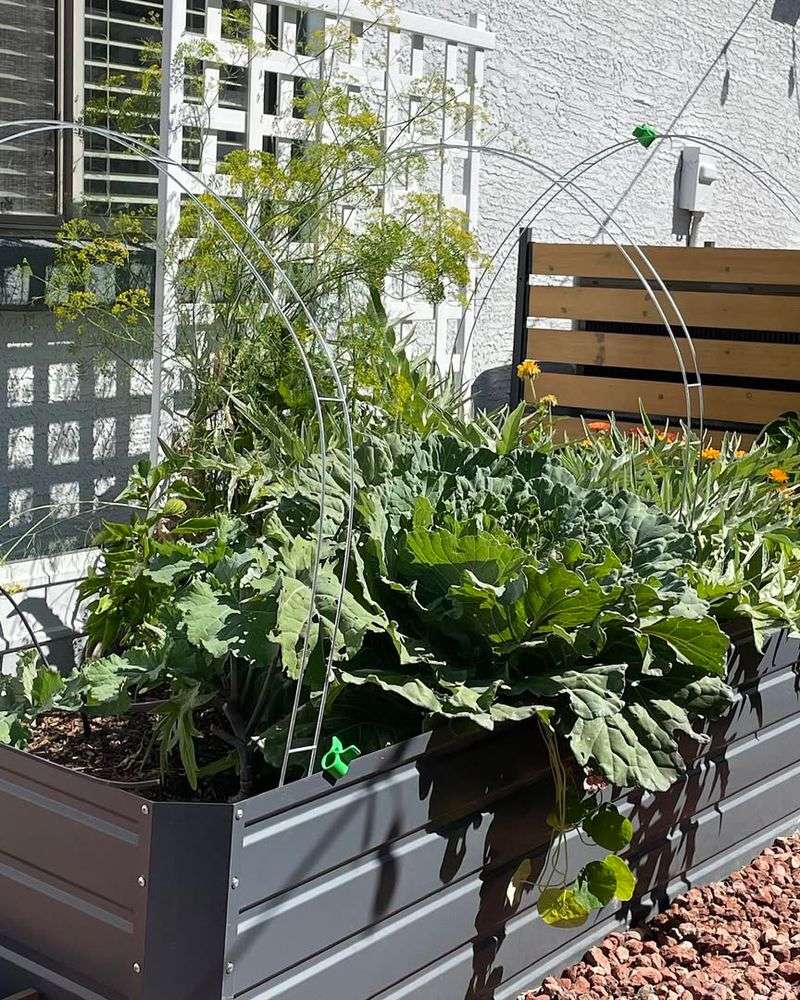 Shallow Roots Struggle Without Early Adjustment