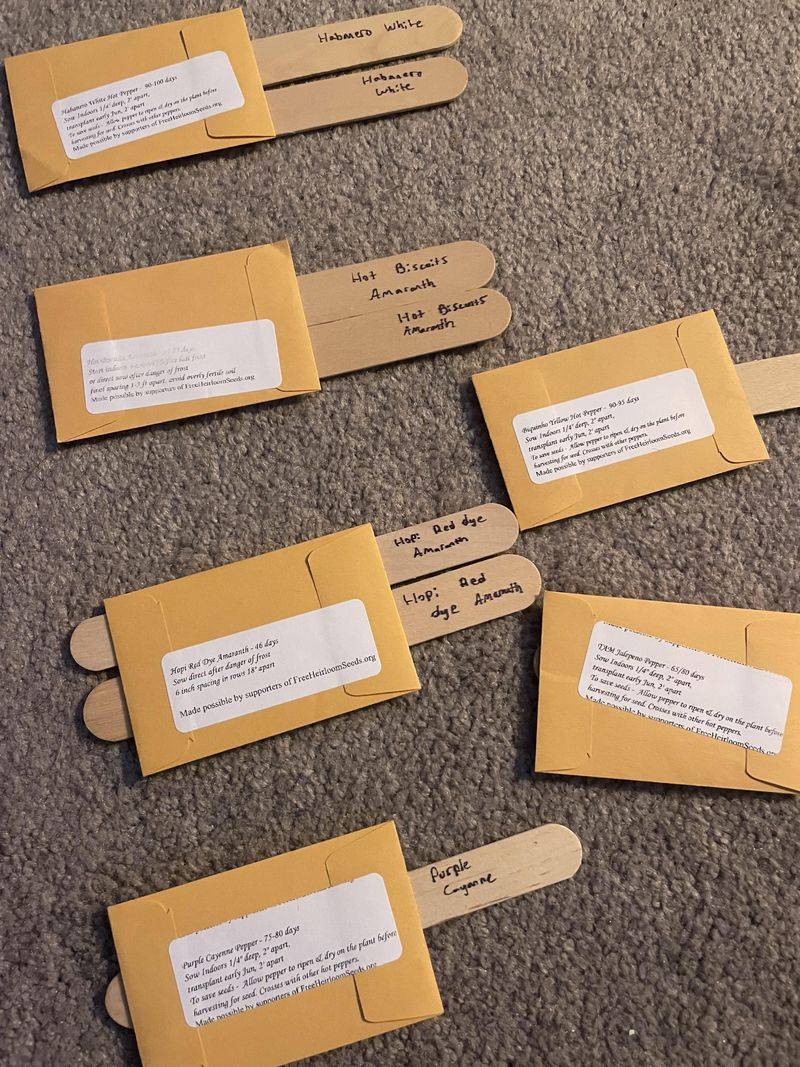 Collect And Save Seeds From Reliable Plants