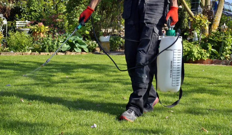 Miami Beach Restricts Glyphosate Use On City-Owned Property