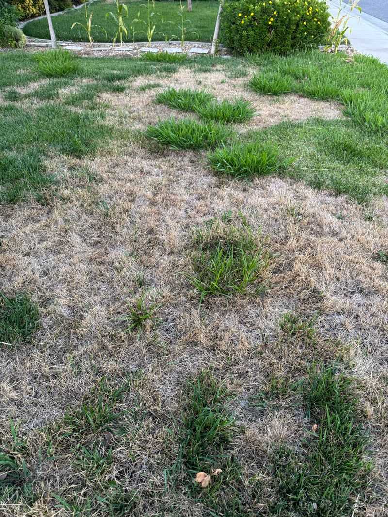 The New $100 Fine Ceiling