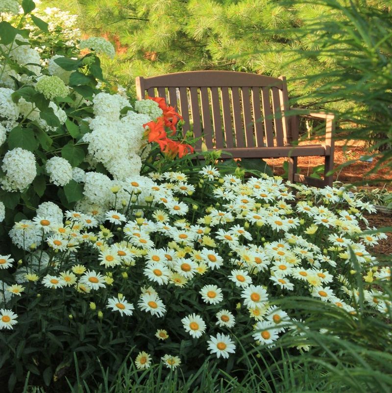 Cottage Garden Style