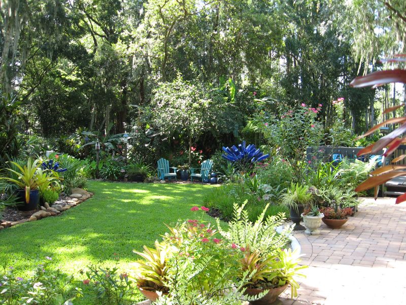 Florida-Friendly Yards Are Driving The Shift