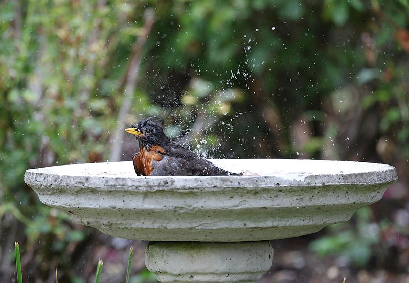 Clean Water Sources Support Drinking And Bathing Needs