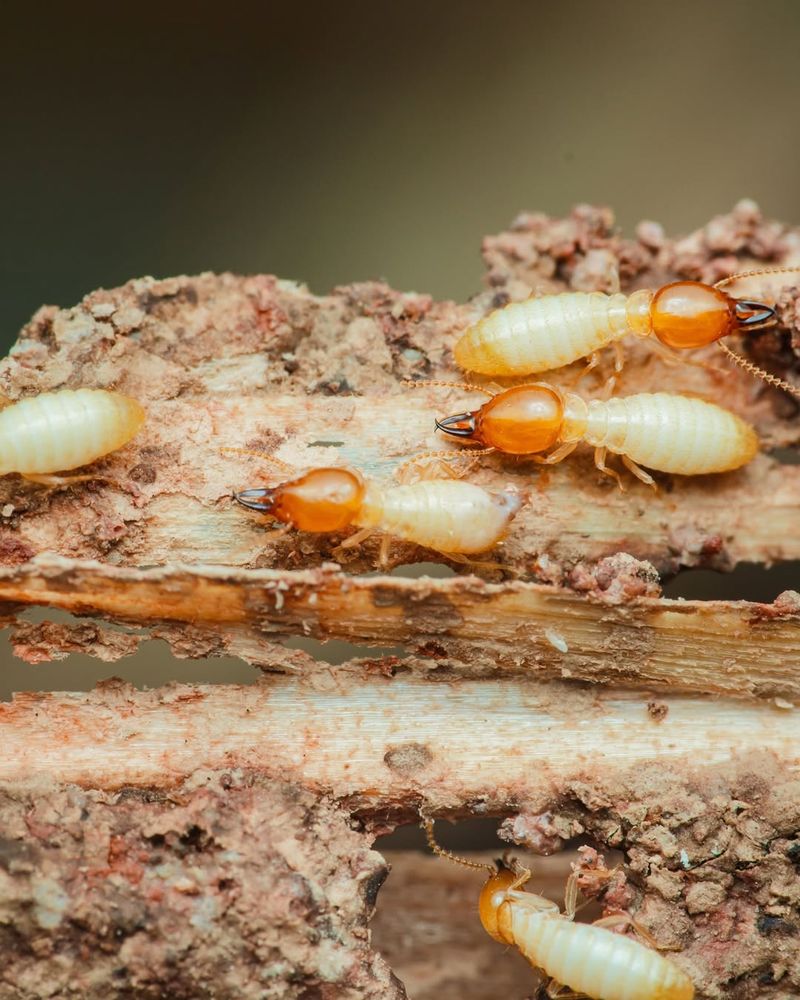 Spring Weather Has Greater Impact Than Winter Cold