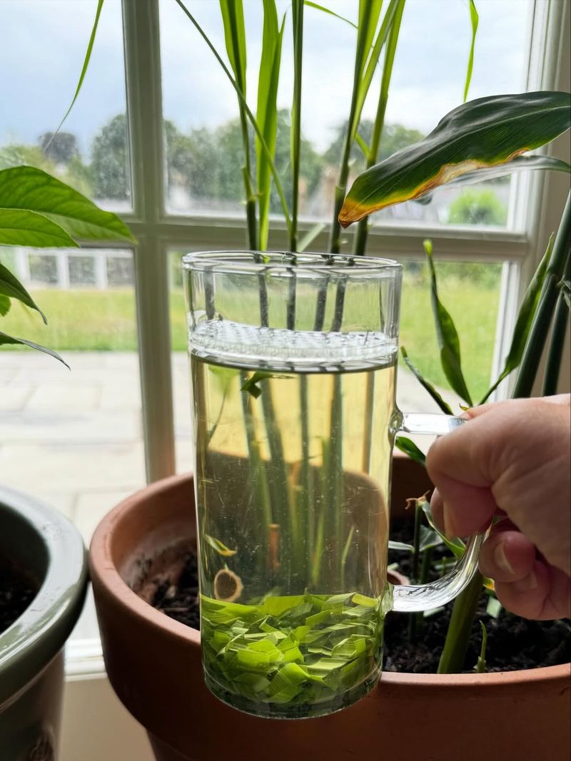 Useful For Cooking And Homemade Tea