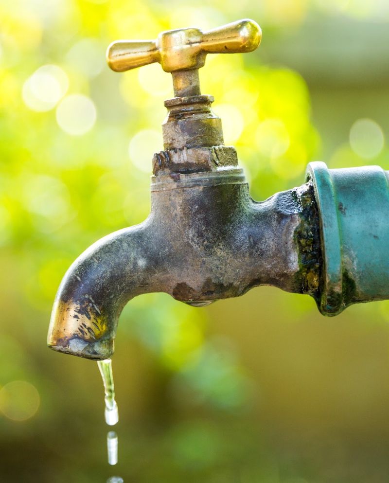 Watering Too Frequently In Cool Soil