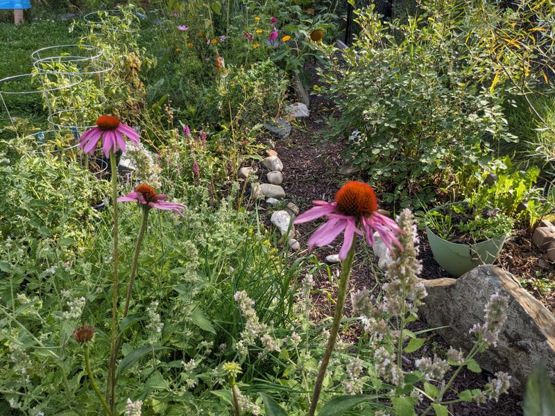 Increased Movement Signals A Lively Garden
