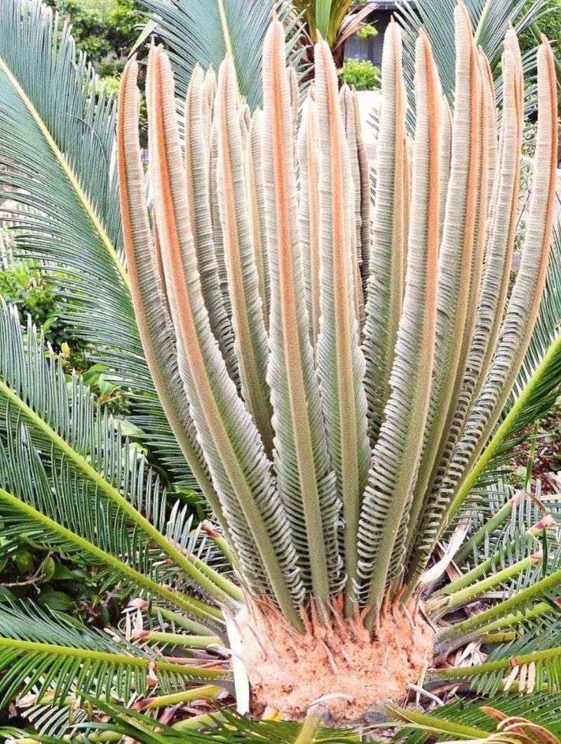 Be Patient With Its Growth Cycle