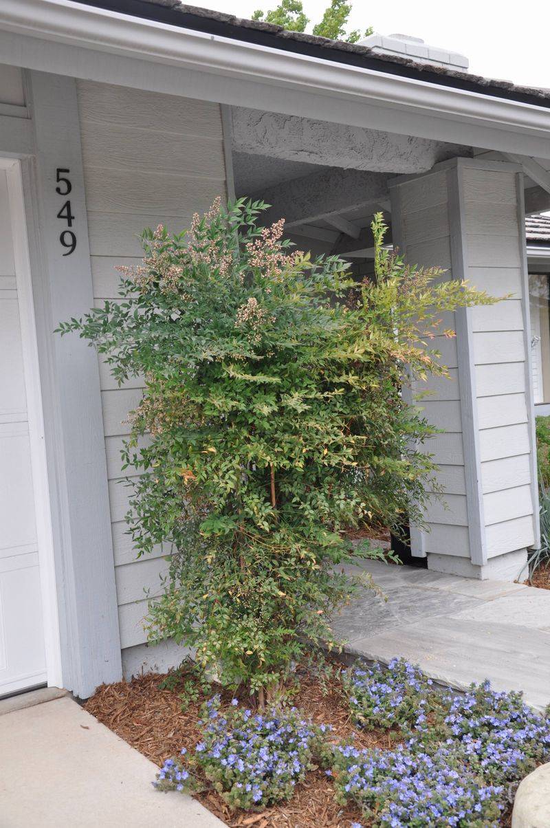 Many Landscapes Are Moving Away From It Quietly