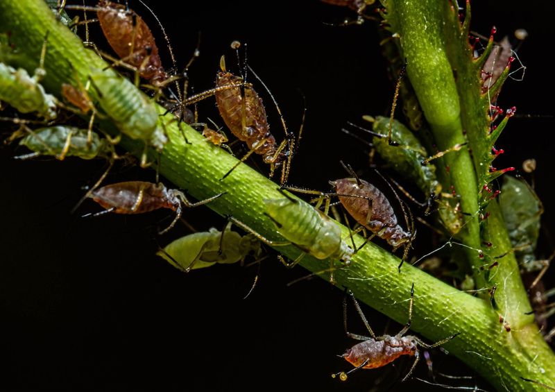 Early Detection Prevents Much Larger Problems